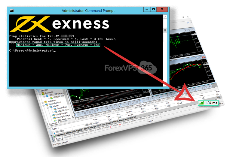 Professional Forex VPS Hosting for Exness broker