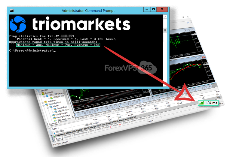 Professional Forex VPS Hosting for TrioMarkets broker